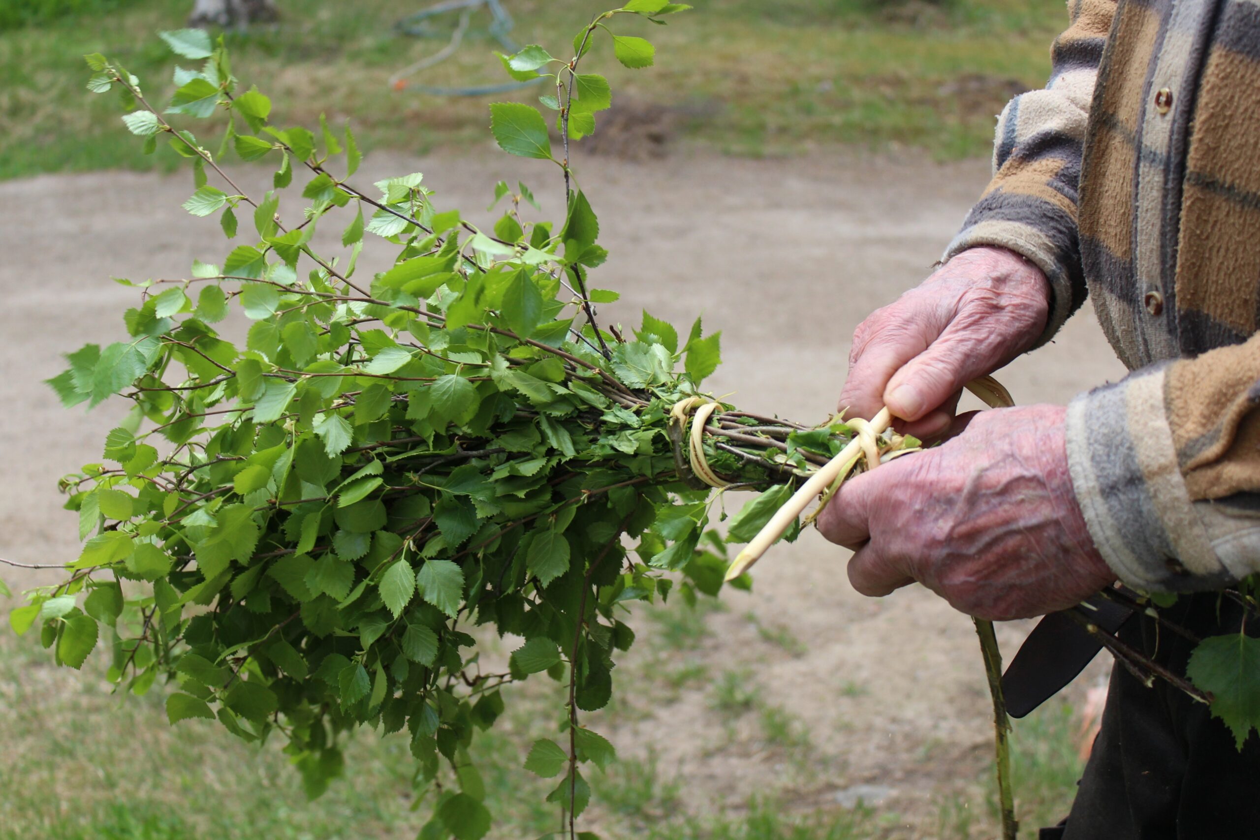 Sitomisoksan loppupää työnnetään  lenkiksi se sitomiskohdan ali oksien sekaan.